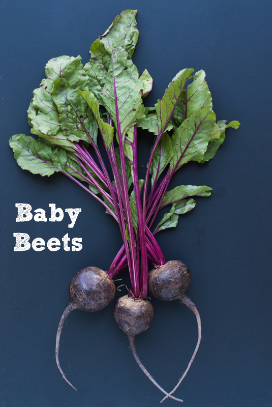 Baby Beets Cook the Seasons Members